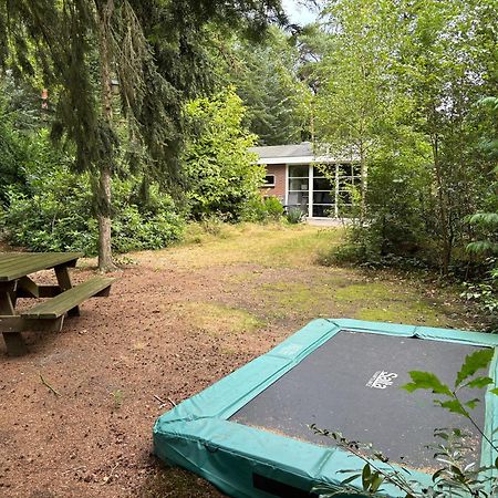 Relaxen In Het Bos Met Privesauna Holten Exterior photo